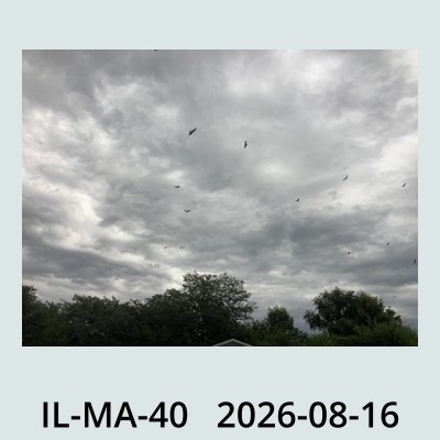 Hail Obs Photo