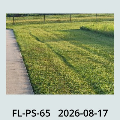 Hail Obs Photo