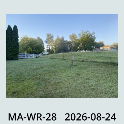 Hail Obs Photo