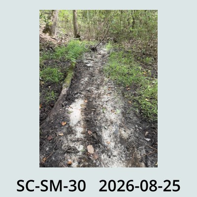 Hail Obs Photo