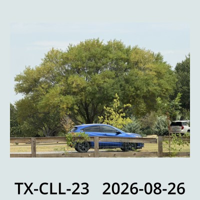 Hail Obs Photo