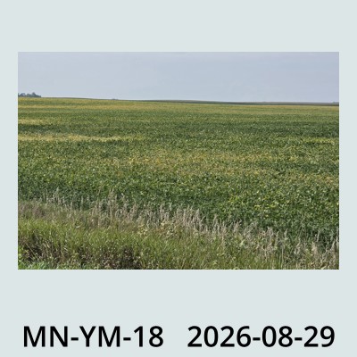 Hail Obs Photo