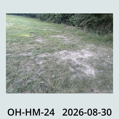 Hail Obs Photo