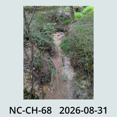 Hail Obs Photo
