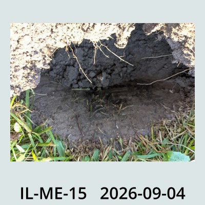 Hail Obs Photo
