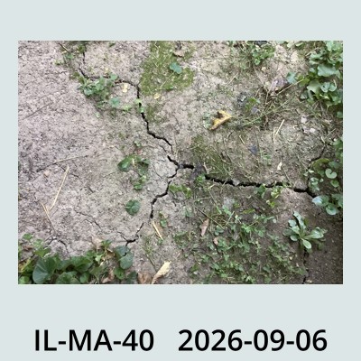 Hail Obs Photo