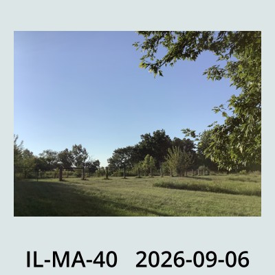 Hail Obs Photo