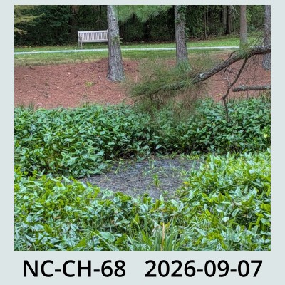 Hail Obs Photo