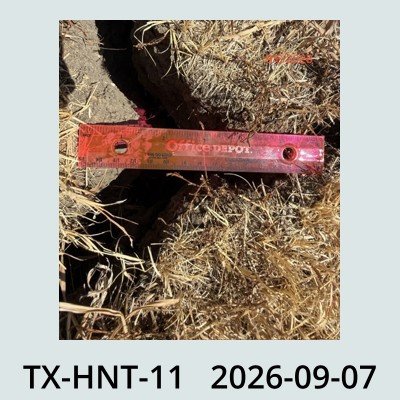 Hail Obs Photo
