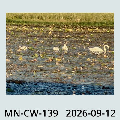Hail Obs Photo