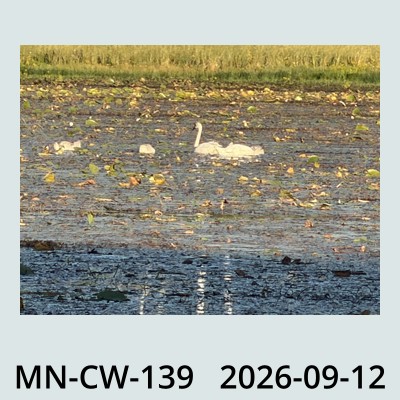Hail Obs Photo