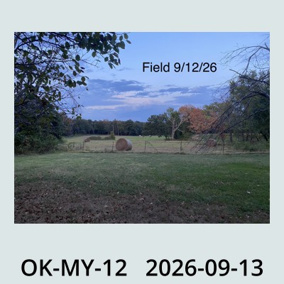 Hail Obs Photo
