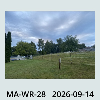 Hail Obs Photo