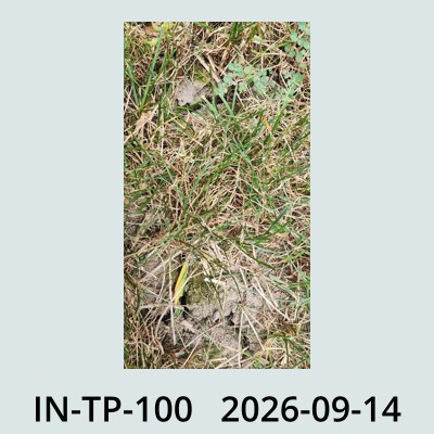 Hail Obs Photo