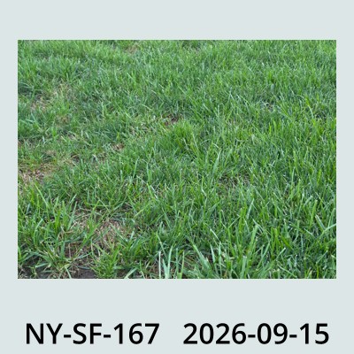 Hail Obs Photo