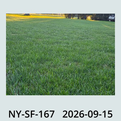 Hail Obs Photo