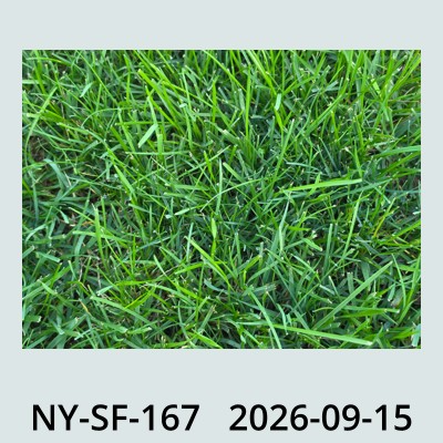 Hail Obs Photo