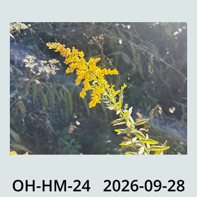 Hail Obs Photo