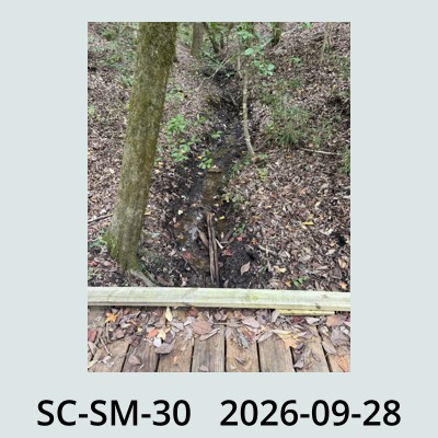 Hail Obs Photo