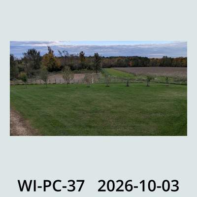 Hail Obs Photo