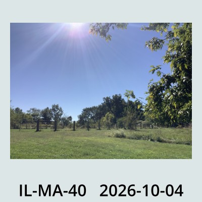 Hail Obs Photo