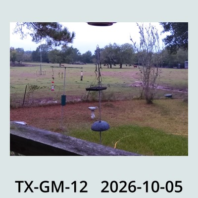Hail Obs Photo