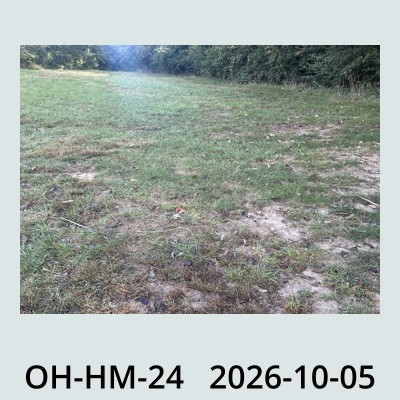 Hail Obs Photo