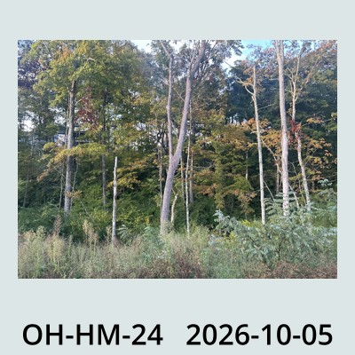Hail Obs Photo