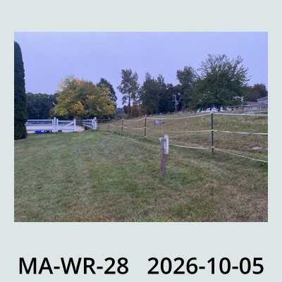 Hail Obs Photo