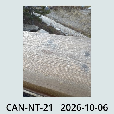 Hail Obs Photo