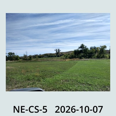 Hail Obs Photo