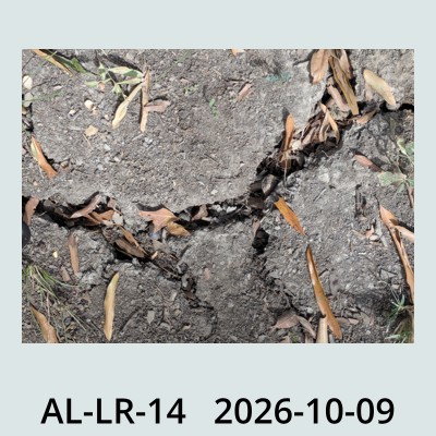 Hail Obs Photo