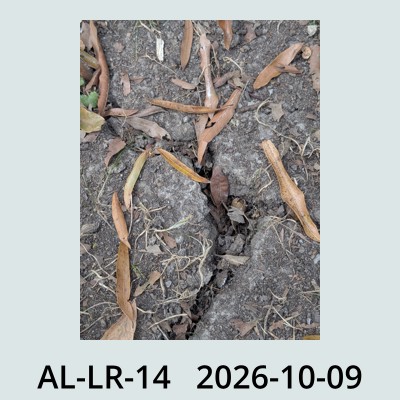 Hail Obs Photo