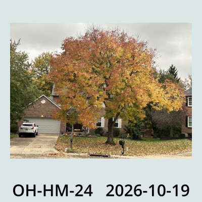 Hail Obs Photo
