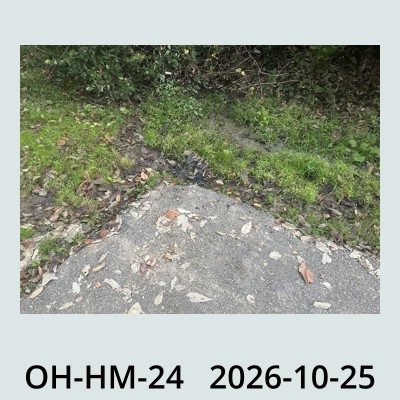 Hail Obs Photo
