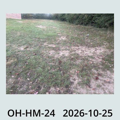 Hail Obs Photo