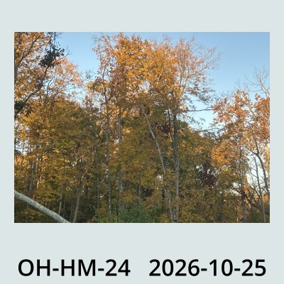 Hail Obs Photo