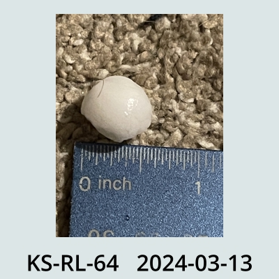 Hail Obs Photo