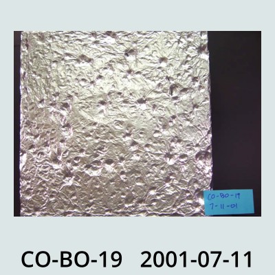 Hail Obs Photo