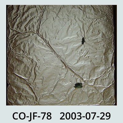 Hail Obs Photo