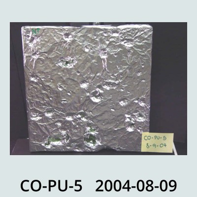 Hail Obs Photo