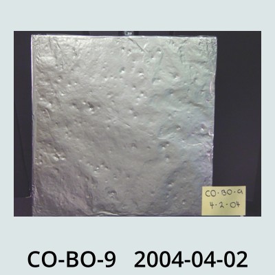 Hail Obs Photo