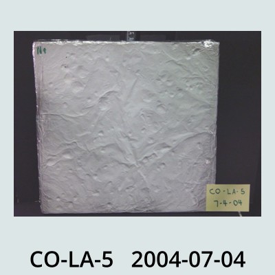 Hail Obs Photo