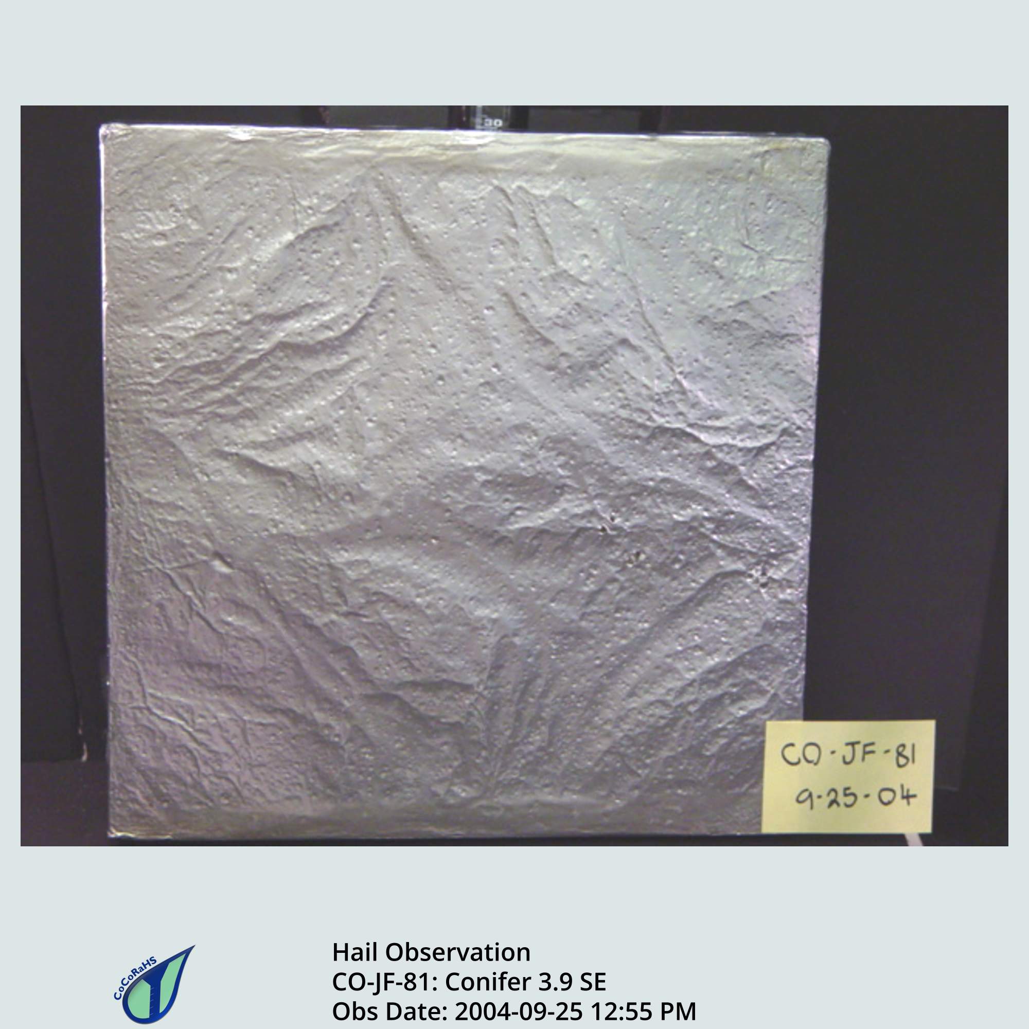 Full size version of the thumbnail.