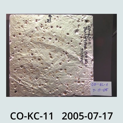 Hail Obs Photo