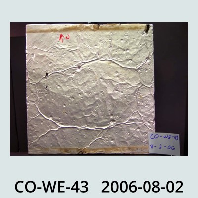 Hail Obs Photo