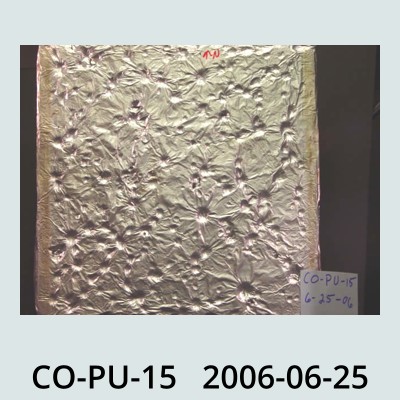 Hail Obs Photo