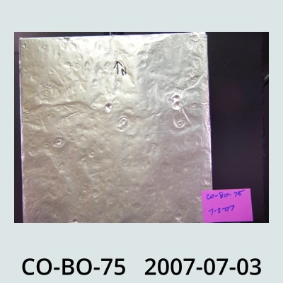 Hail Obs Photo