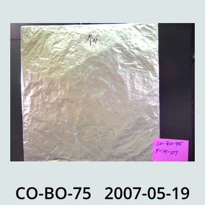 Hail Obs Photo