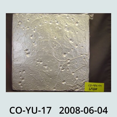 Hail Obs Photo